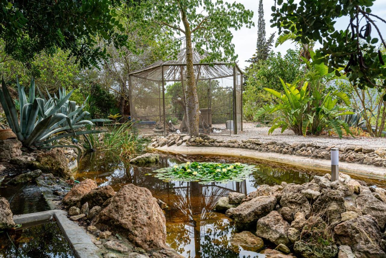 Robby's Ibiza Alloggio per agriturismo *
