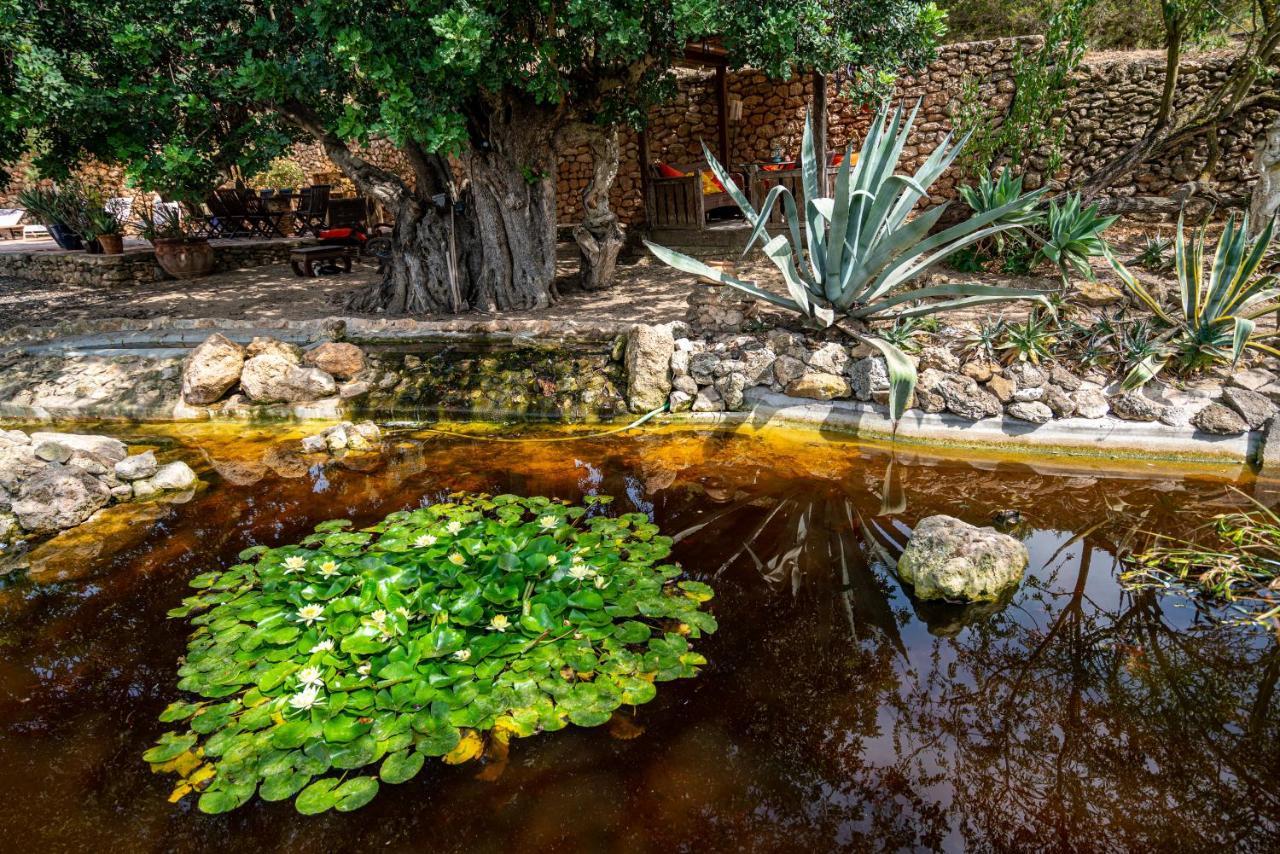 Robby's Ibiza Alloggio per agriturismo *
